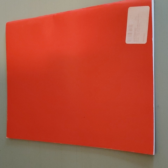 Harry Potter and the Sorcerers Stone Novel-Ties Study Guide - Paperback - Picture 12 of 12